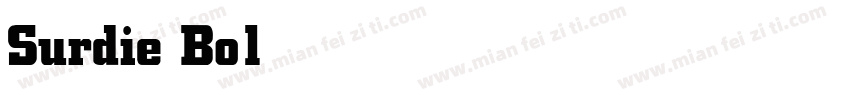 Surdie Bold字体转换